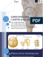 Lesiones Cartílago Articular