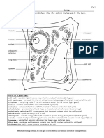 Work Sheet - Plant Cell