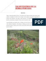 Plantas Medicinales De La Costa Peruana Docx Romero