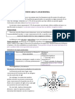 8) Urticaria y Angioedema. Raquel D