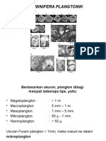 Foraminifera Plangtonik