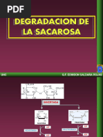 Degradacion de La Sacarosa