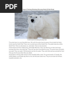 Download 6 Contoh Text Report Tentang Binatang Beruang Kutub by Bahori Siregar SN301603000 doc pdf