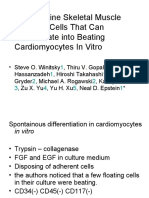 Adult Murine Skeletal Muscle Contains Cells That Can Differentiate Into Beating Cardiomyocytes in Vitro