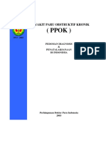 PPOK - PDPI 2003