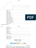 Obiee Basics