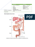 Peer Support - Forgut Midgut Hindgut