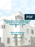 Manual Electroforesis.pdf
