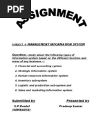 Management Information System: Submitted by Presented by