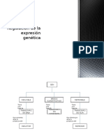 Aula 4 Regulación de la expresión genética.pptx