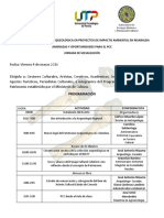 Programación Socialización de Arqueología