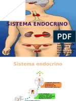 Sistema Endocrino