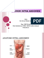 Tumor Intra Abdomen: Oleh Dr. Erwin Wahid, SPB Bag / SMF Bedah Fak. Kedokteran Unri / Rsud Arifin Achmad Pekanbaru