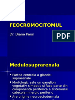 FEOCROMOCITOMUL.ppt
