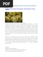 Download Klasifikasi Dan Morfologi Tanaman Durian by ayu lestari SN301721175 doc pdf