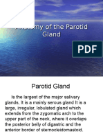 Anatomy of The Parotid Gland