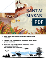 Rantai Makanan Tahun 5