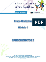 1.2 Carbohidratos 2.pdf