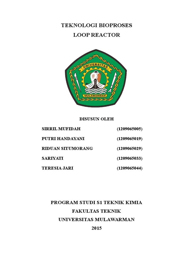 Loop Reactor | PDF