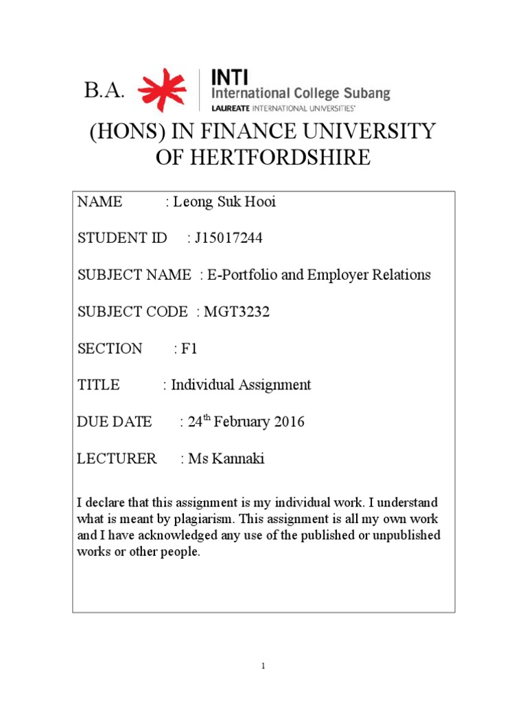 Final individual assignment essay image