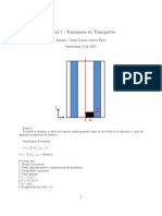 Ejercicio Resuelto Fenomenos de Transporte