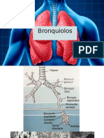 Bronquiolos 