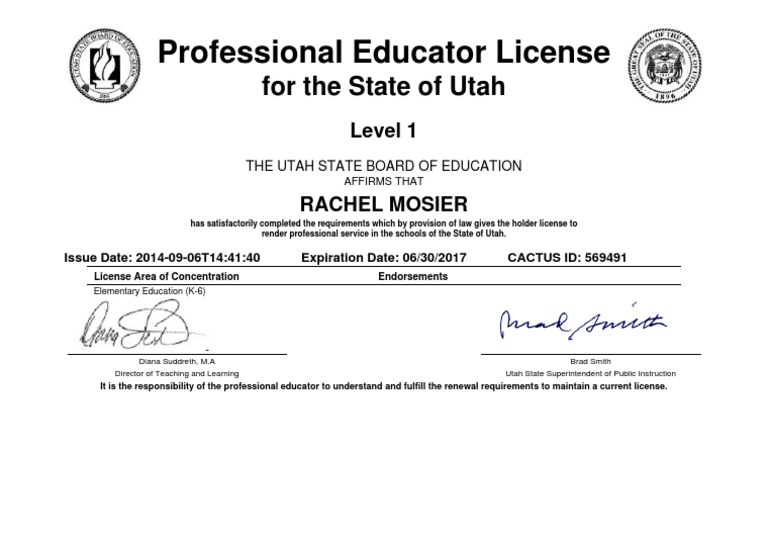 Professional Educator License PDF
