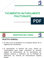 Curso Completo Yacimientos Naturalmente Fracturados-1 PDF