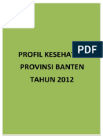 16_Profil_Kes.Prov.Banten_2012.pdf