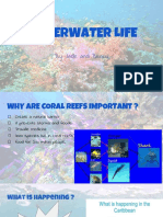 Coral Reefs 1