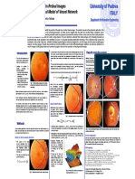 Ruggeri EMBC03 Poster PDF