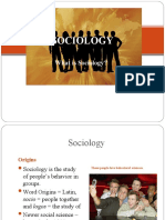 Introduction To Sociology 2010