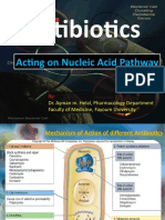 Antibiotic Affecting DNA Synthesis