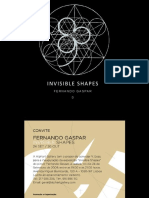 Invisible Shapes / Fernando Gaspar