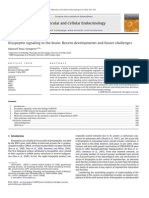 Molecular and Cellular Endocrinology: Kisspeptin Signaling in The Brain: Recent Developments and Future Challenges