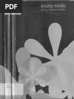 Ensino Medio Frigotto