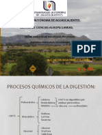 Procesos Químicos de La Digestión en Rumiantes