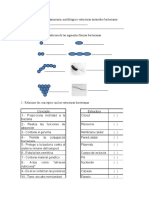 Examen TAXONOMIA MORFOLOGIA