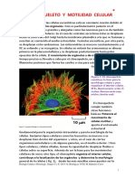 Citoesqueleto y Motilidad Celular