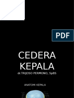 6.CEDERA KEPALA BLOK 27.ppt