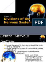 15-2 Divisions of the Nervous System Web
