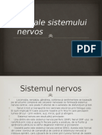 Boli Ale Sistemului Nervos