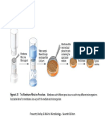 Prescott, Harley & Klein's Microbiology - Seventh Edition