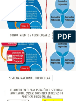 Conocimientos Curriculares