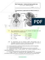 Sistema excretor renal - exercícios resolvidos