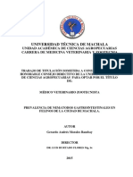 Prevalencia de Nematodos Gastrointestinales en Felinos en La Ciudad de Machala.pptx