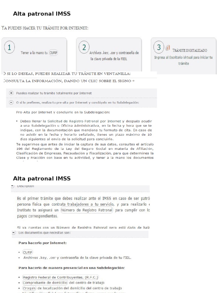 Alta Patronal Imss | PDF
