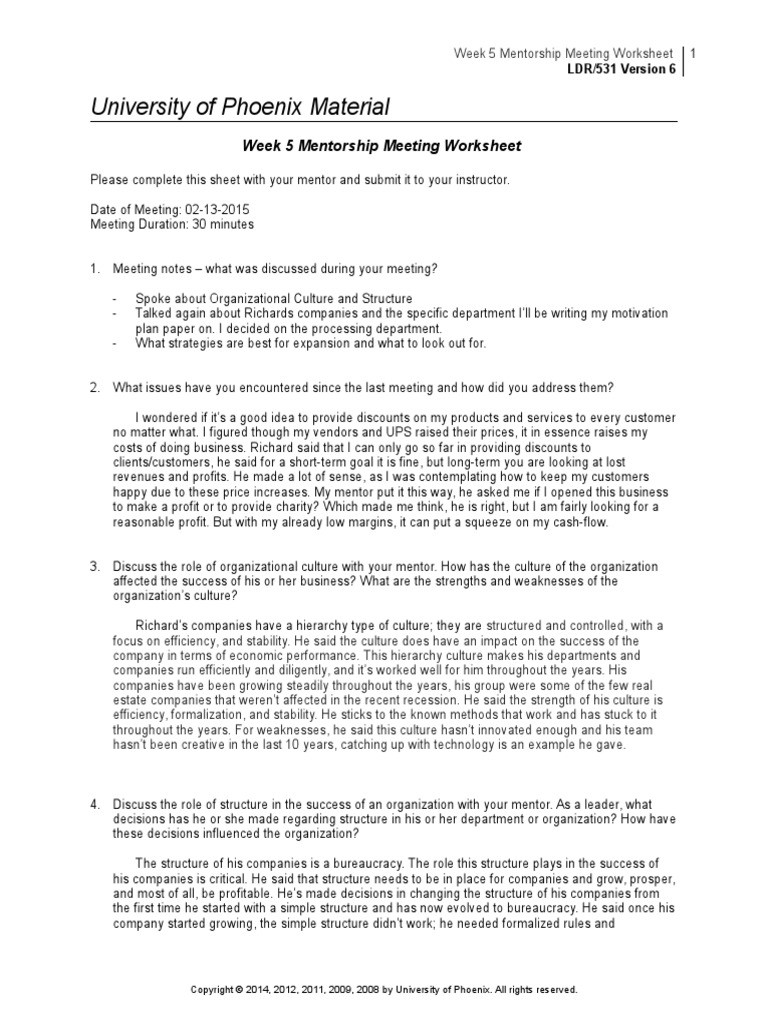 Mentorship meeting worksheet essay image