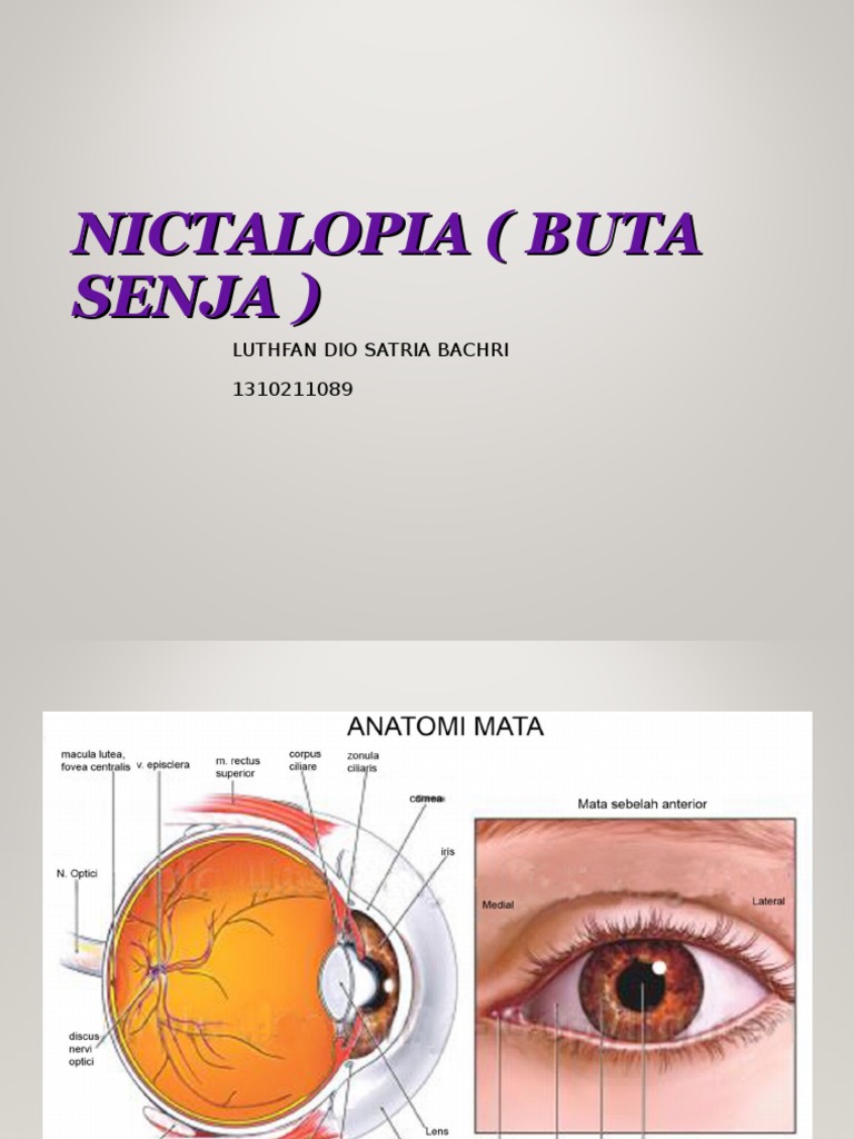 Buta Senja Buta Senja