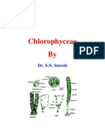 Cyanophyceae by Dr. S.N. Suresh